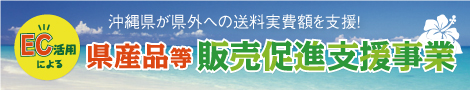 沖縄県が県外への送料実費額を支援！EC活用による県産品等販売促進支援事業